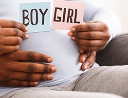 Pregnancy - Early Pregnancy - Gender Prediction