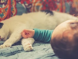 parents - kids - animals - cats