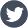 Grey contact twitter icon